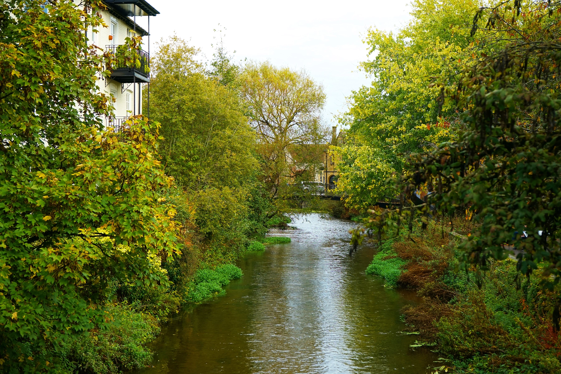 The River Avon - Salisbury