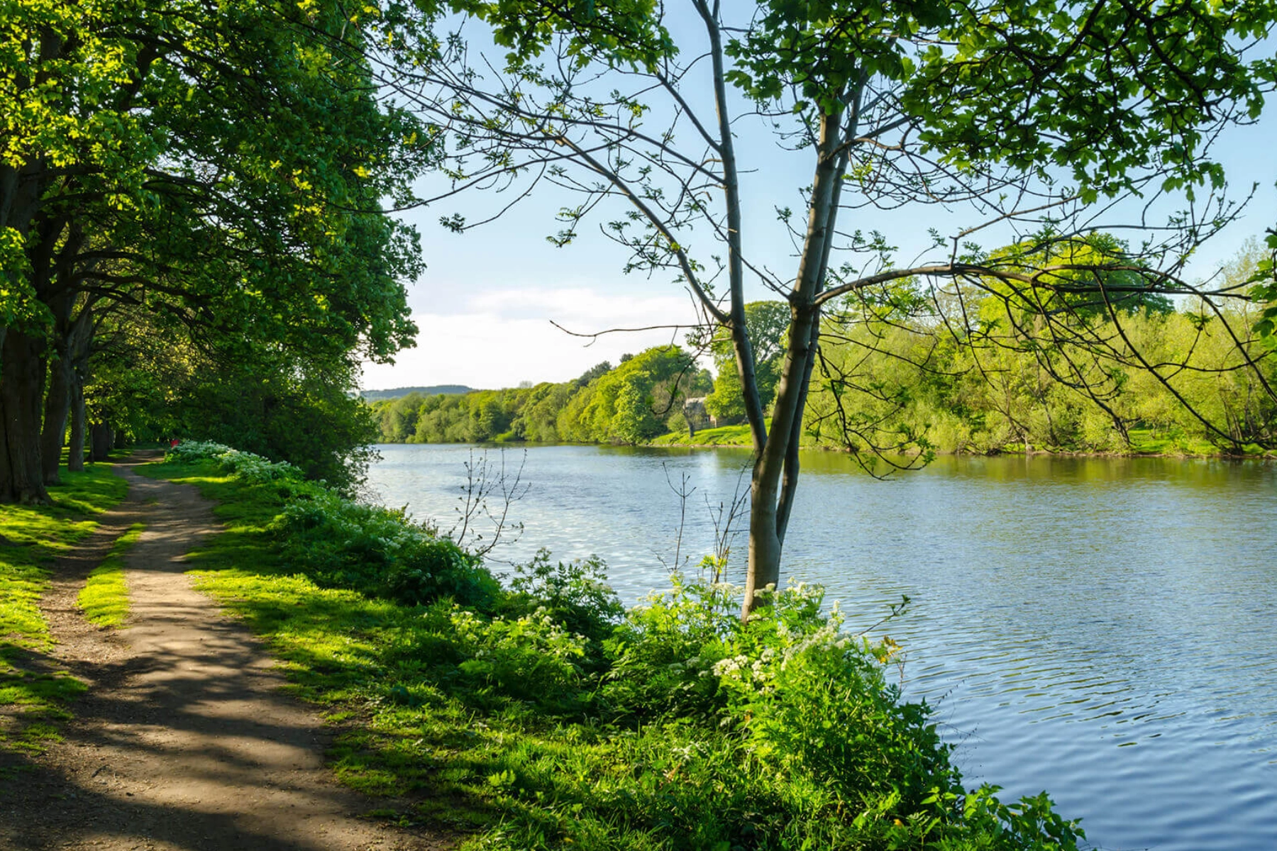 The River Tyne