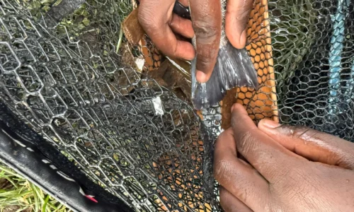 under-18-england-fly-fishing-gallery-07