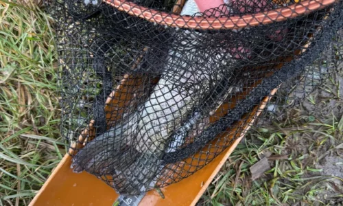 under-18-england-fly-fishing-gallery-08