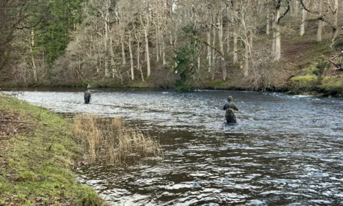 under-18-england-fly-fishing-gallery-15