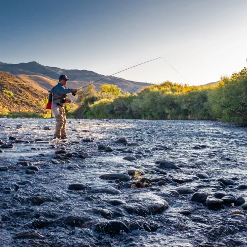 Mastering Euro Nymphing for Fly Fishing Success