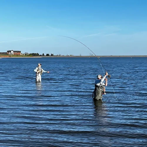 Explore the Best Fly Fishing Spots in England